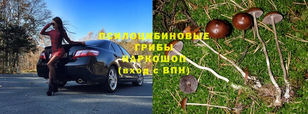 стафф Магадан