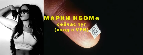 хмурый Сосновка