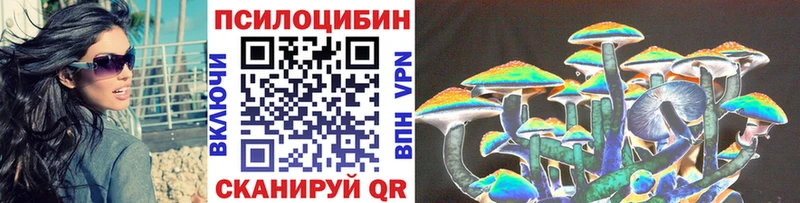 Галлюциногенные грибы Psilocybine cubensis  дарнет шоп  Магас 